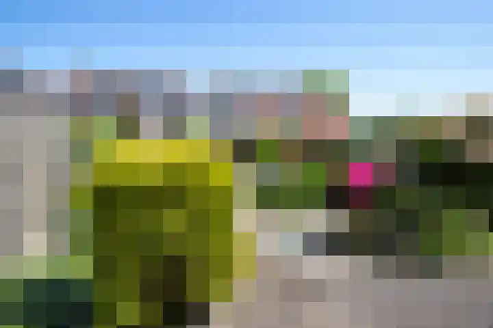 Kamille 21 Reeuwijk thumbnail 36