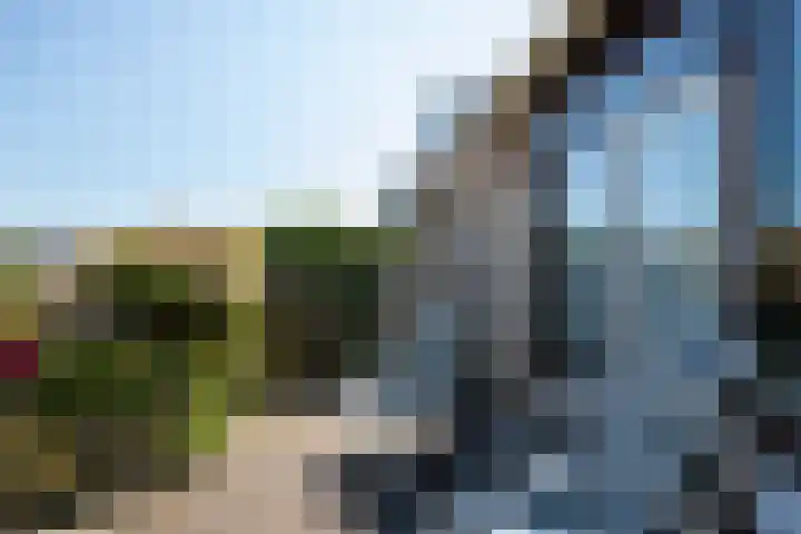 Kamille 21 Reeuwijk thumbnail 38