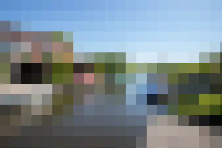 Kamille 21 Reeuwijk thumbnail 39