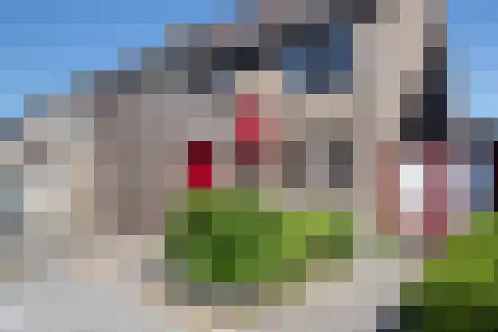 Kamille 21 Reeuwijk thumbnail 4