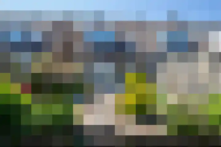 Kamille 21 Reeuwijk thumbnail 40