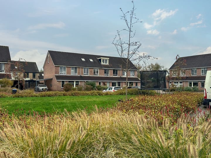 Kamille 23 in Roden foto