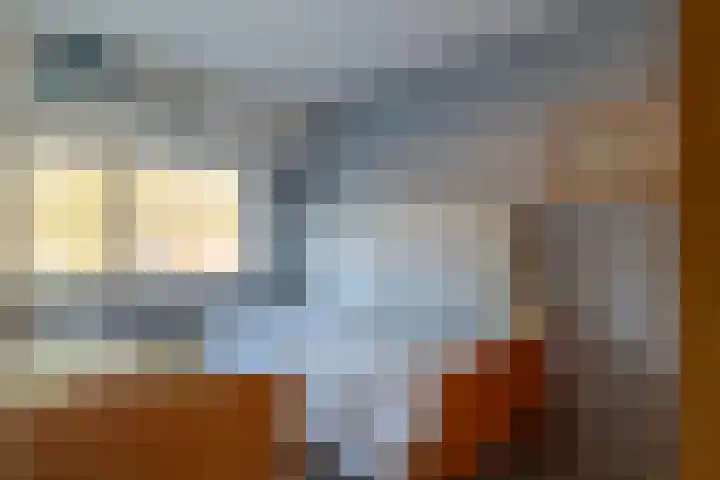 Kamille 23 Sprang-Capelle thumbnail 24