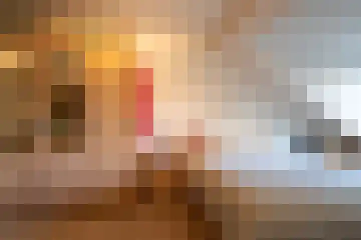 Kamille 23 Sprang-Capelle thumbnail 30