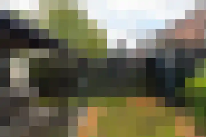 Kamille 23 Sprang-Capelle thumbnail 6
