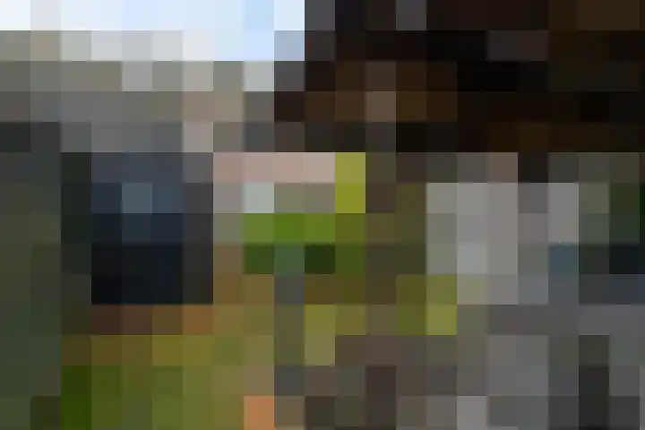 Kamille 23 Sprang-Capelle thumbnail 7
