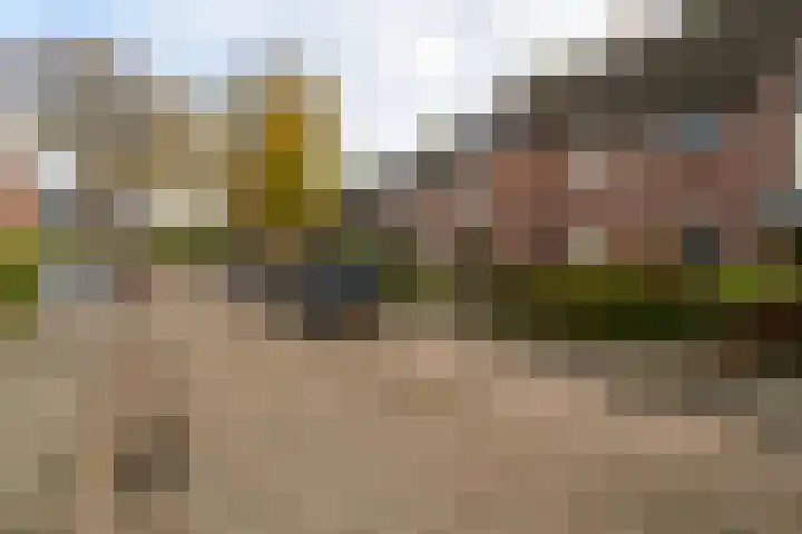 Kamille 23 Sprang-Capelle thumbnail 8