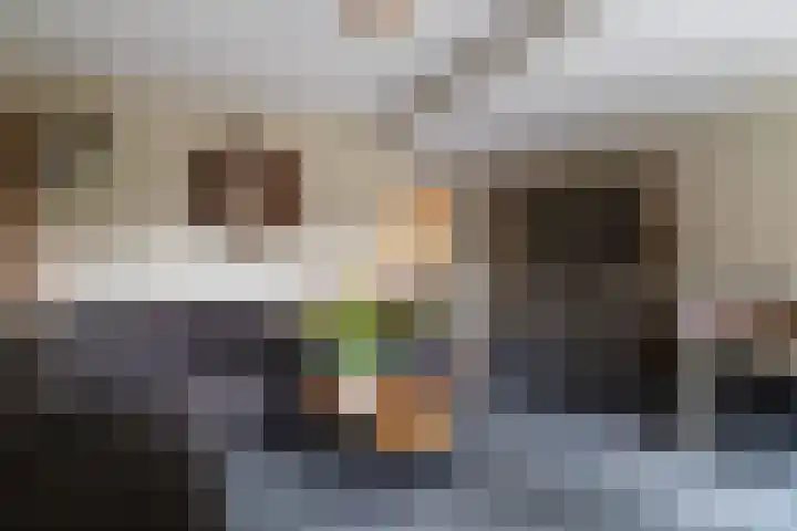 Kamille 27 Sprang-Capelle thumbnail 15