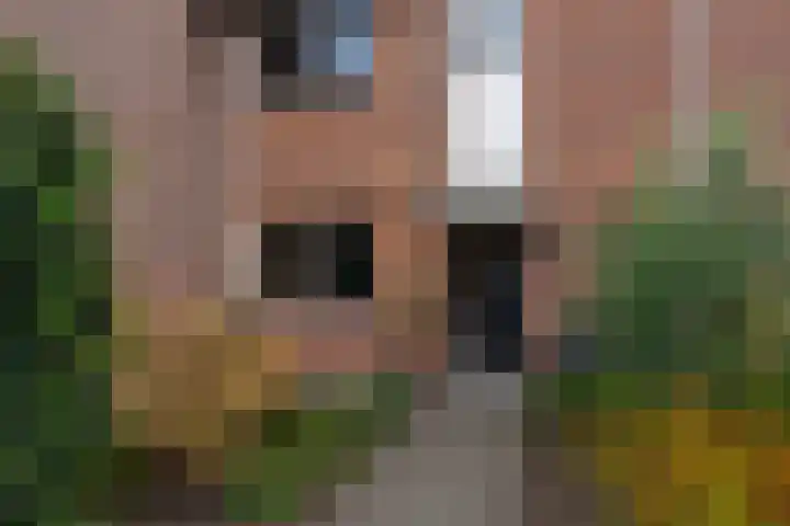 Kamille 27 Sprang-Capelle thumbnail 5