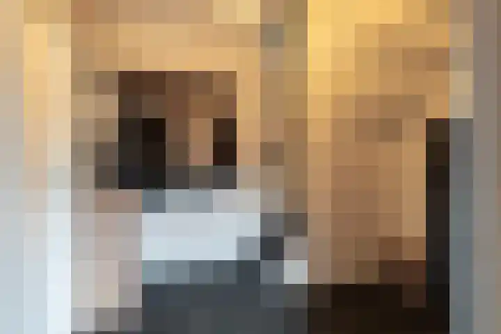 Kamille 27 Sprang-Capelle thumbnail 6