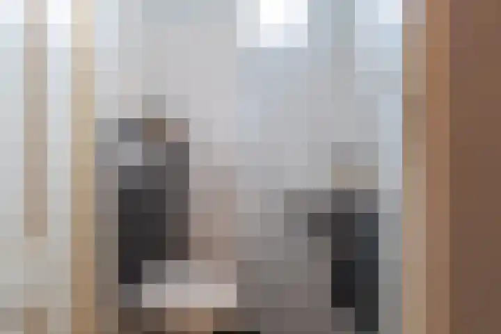 Kamille 27 Sprang-Capelle thumbnail 7