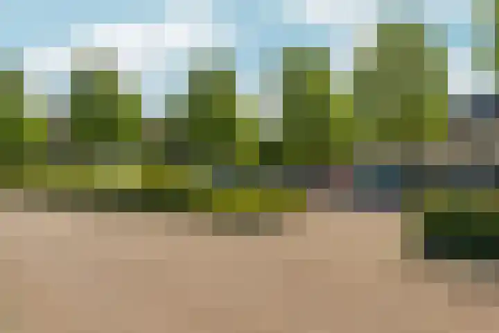 Kamille 32 Dronten thumbnail 12