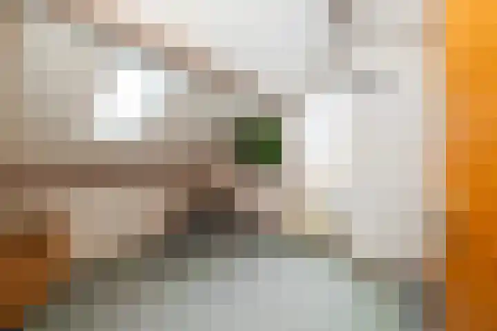 Kamille 32 Dronten thumbnail 23