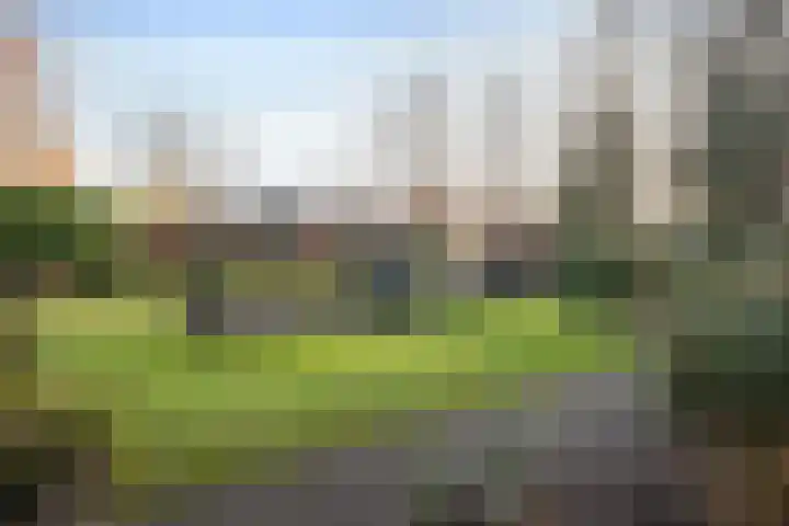 Kamille 32 Dronten thumbnail 30