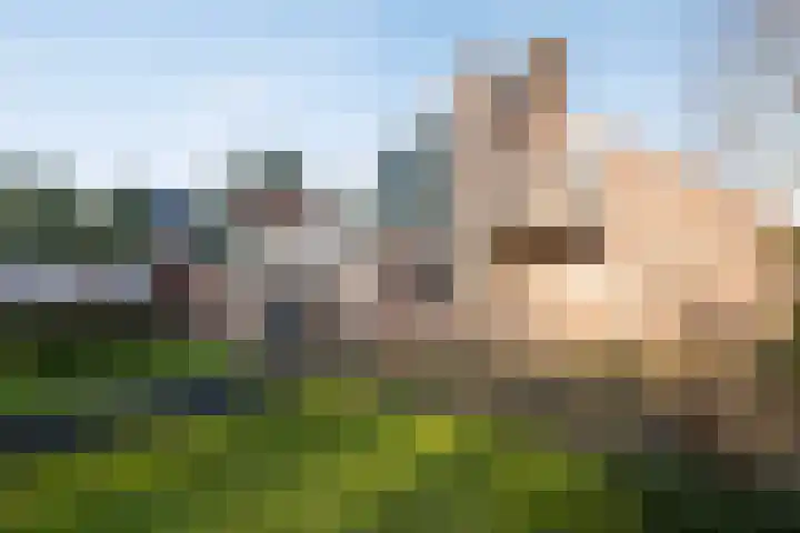 Kamille 32 Dronten thumbnail 32