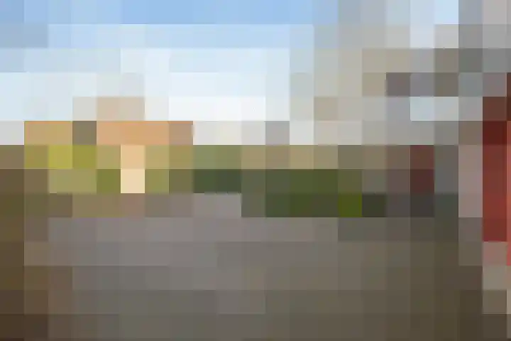 Kamille 32 Dronten thumbnail 37