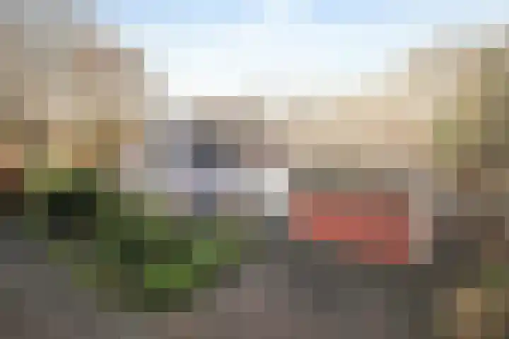 Kamille 32 Dronten thumbnail 39
