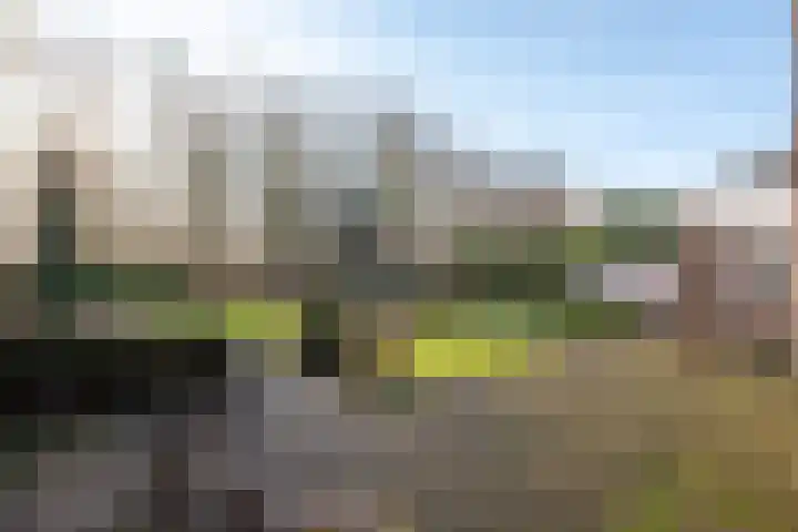 Kamille 32 Dronten thumbnail 4