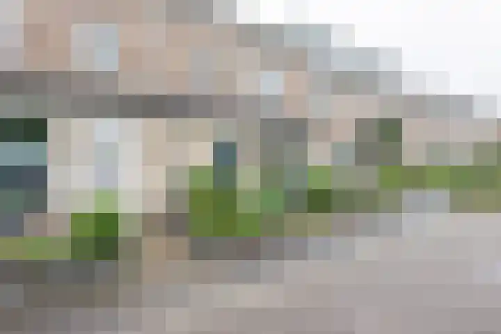 Kamille 35 Eemnes thumbnail 4