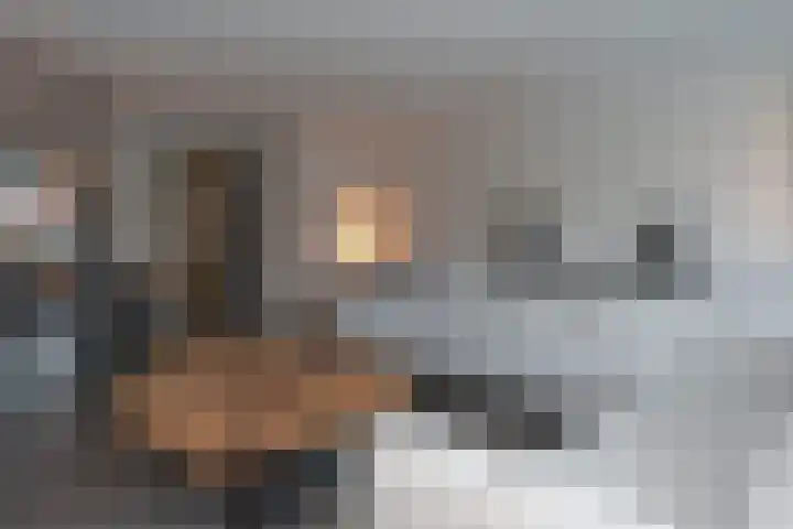 Kamille 4 Drachten thumbnail 10