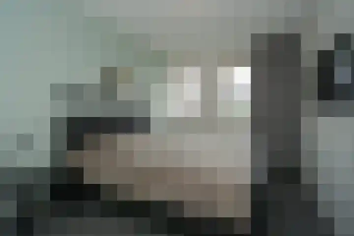 Kamille 4 Drachten thumbnail 17