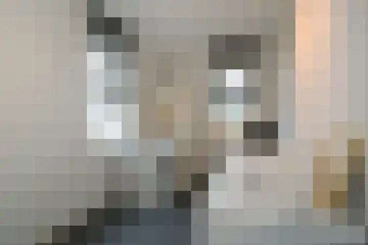 Kamille 4 Drachten thumbnail 23