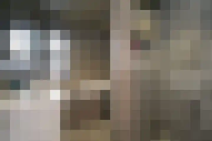 Kamille 4 Drachten thumbnail 25