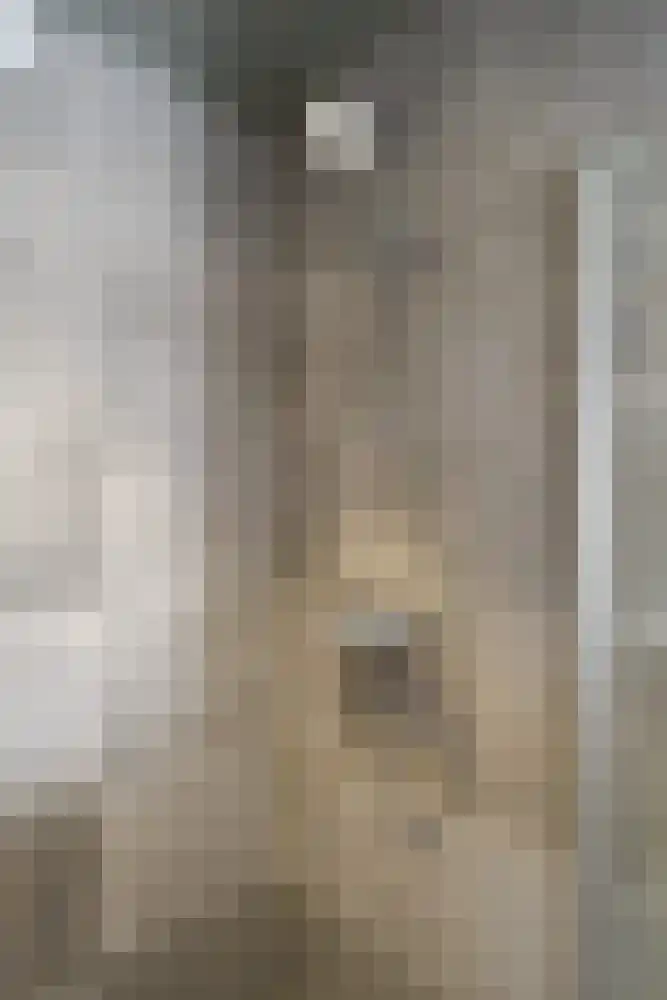 Kamille 4 Drachten thumbnail 27