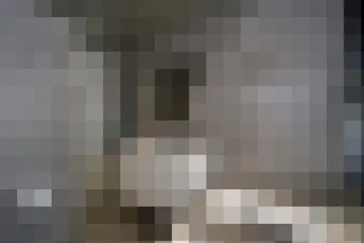 Kamille 4 Drachten thumbnail 28
