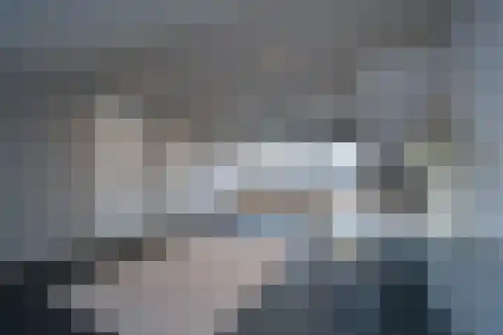 Kamille 4 Drachten thumbnail 33