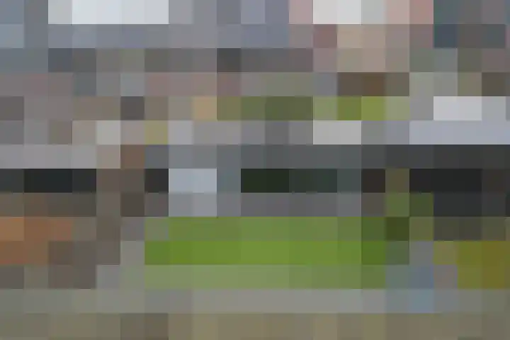 Kamille 4 Drachten thumbnail 35