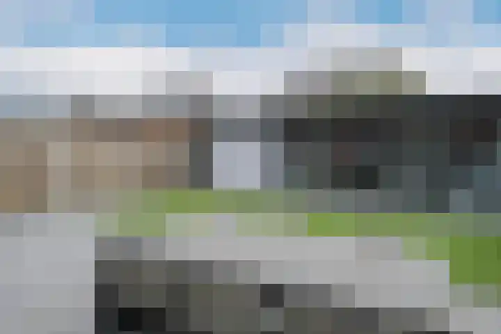 Kamille 4 Drachten thumbnail 39