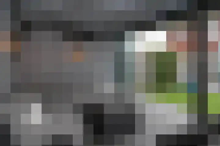 Kamille 4 Drachten thumbnail 41