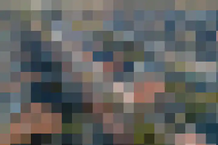 Kamille 4 Drachten thumbnail 46