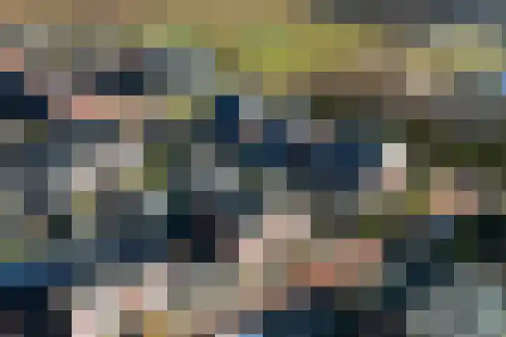 Kamille 4 Drachten thumbnail 49