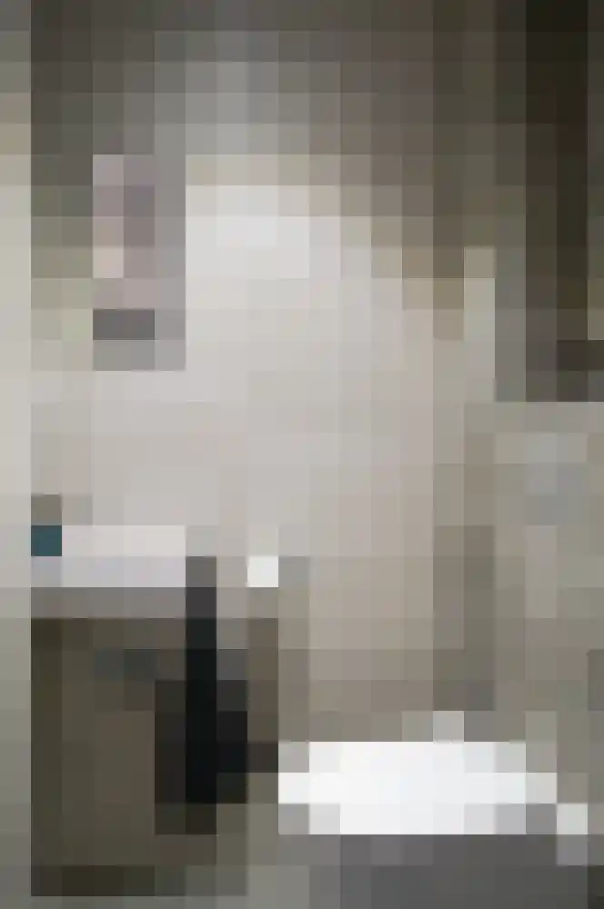Kamille 4 Drachten thumbnail 7
