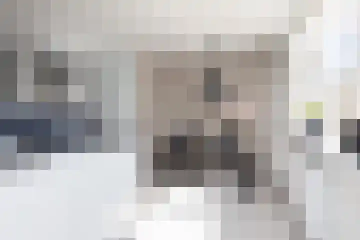 Kamille 4 Sneek thumbnail 10