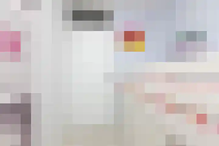 Kamille 4 Sneek thumbnail 19