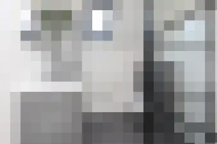 Kamille 4 Sneek thumbnail 25