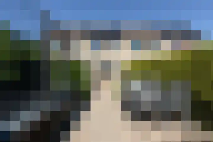 Kamille 4 Sneek foto 3