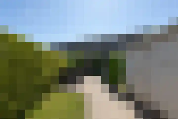 Kamille 4 Sneek thumbnail 32
