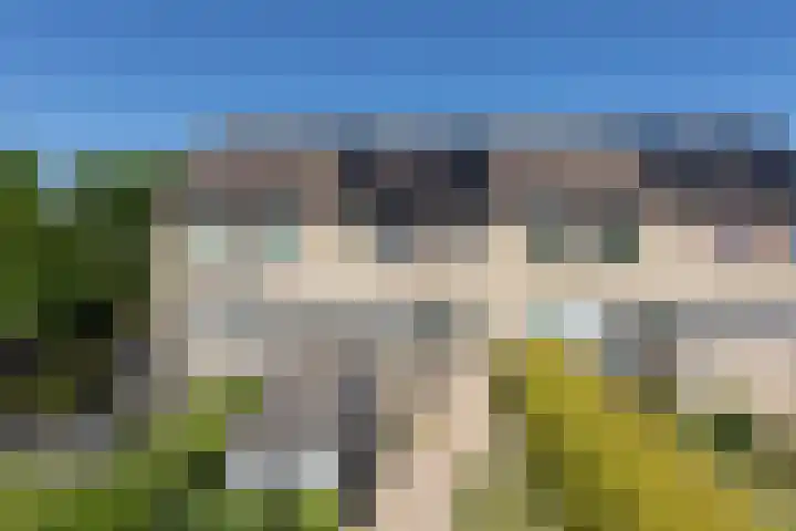 Kamille 4 Sneek thumbnail 35