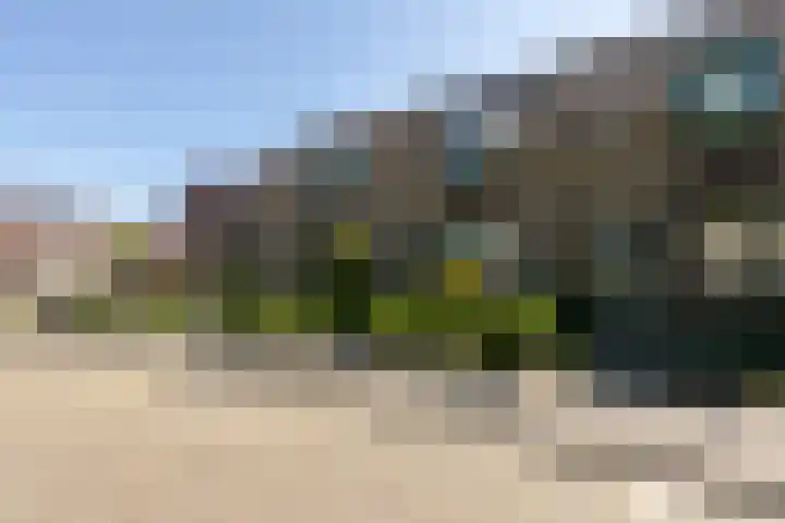 Kamille 4 Sneek thumbnail 37