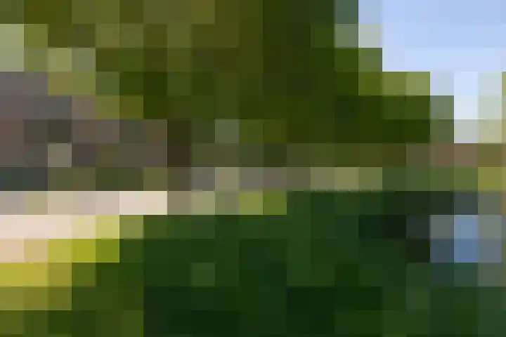 Kamille 4 Sneek thumbnail 39