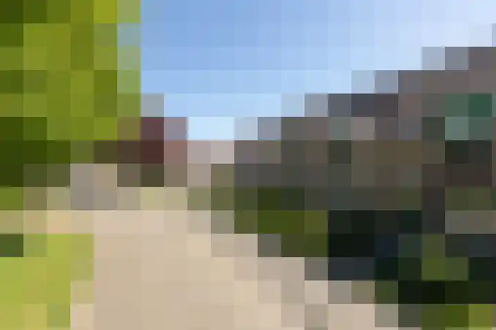 Kamille 4 Sneek thumbnail 41