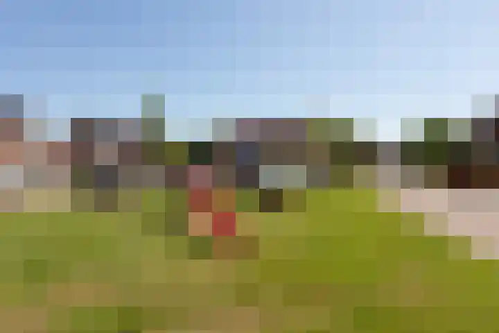 Kamille 4 Sneek thumbnail 43