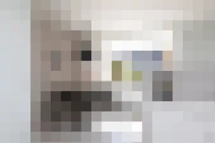 Kamille 4 Sneek thumbnail 8