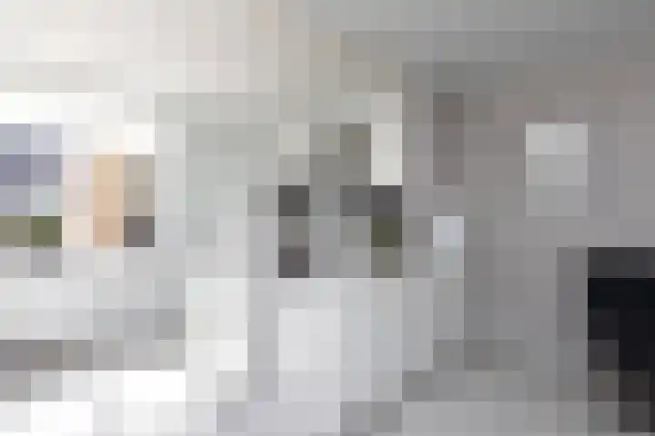 Kamille 4 Sneek thumbnail 9
