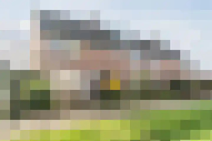 Kamille 42 Culemborg thumbnail 5