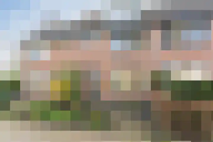 Kamille 42 Culemborg thumbnail 6